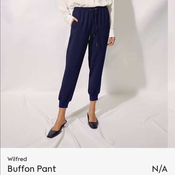 Aritzia Buffon Pant - Picture 1 of 4